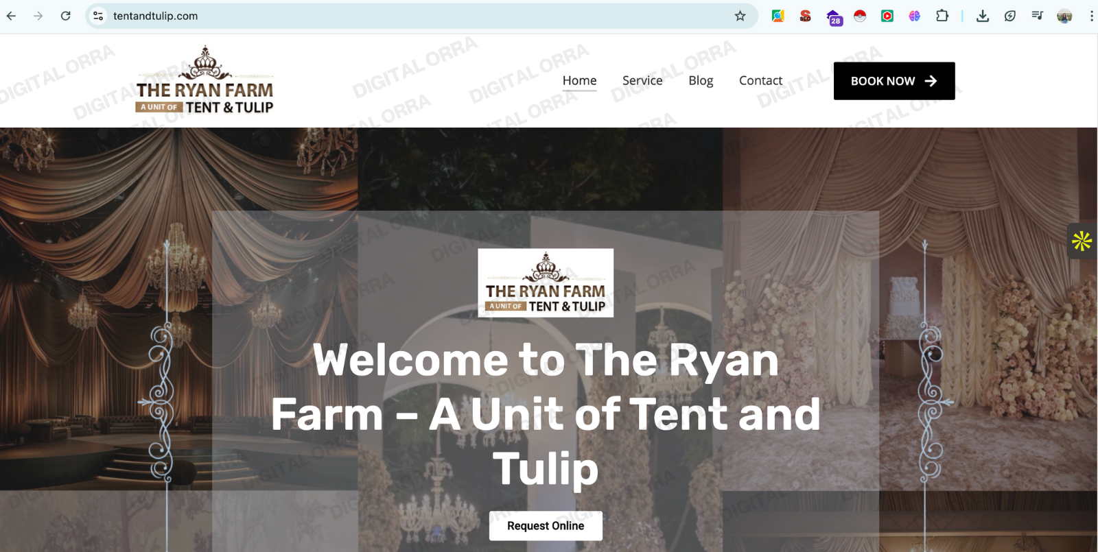 Tent and Tulip